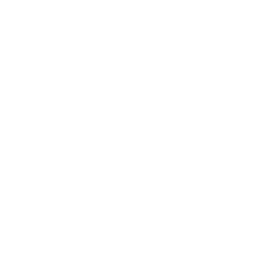 logo sleepnetvissen terschelling